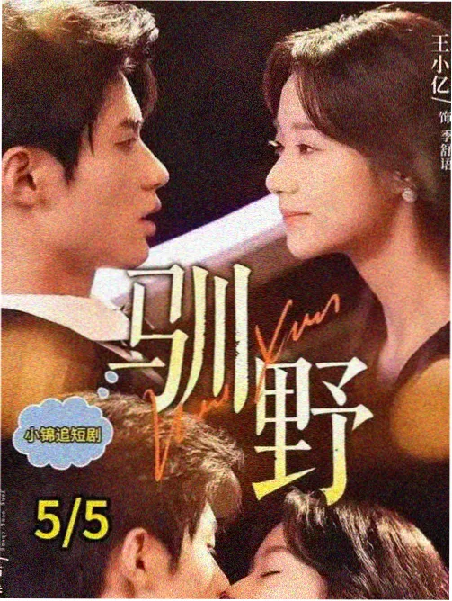 樱花动漫网imomoe官网下载改版